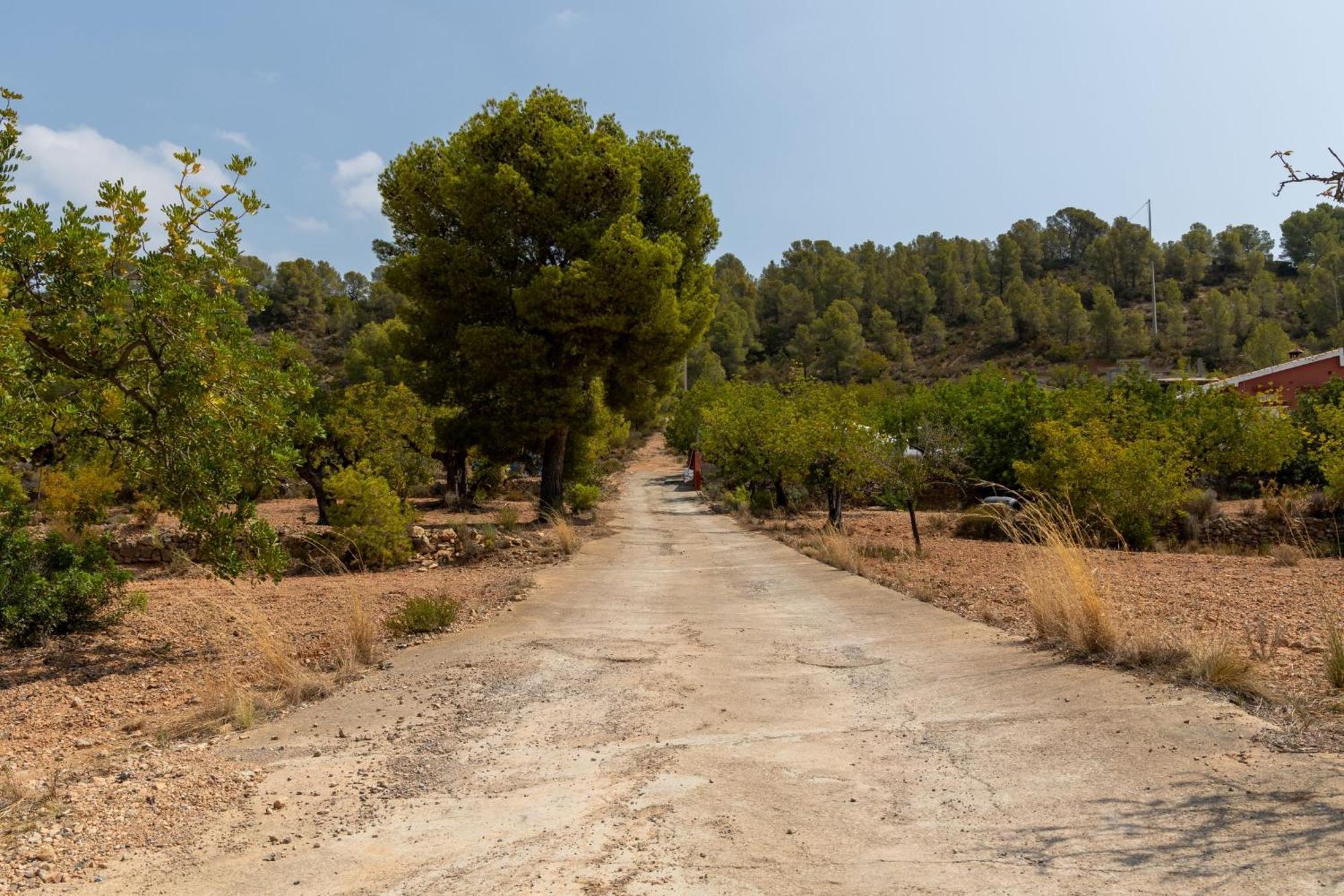 Finca El Escondite Olocau Εξωτερικό φωτογραφία