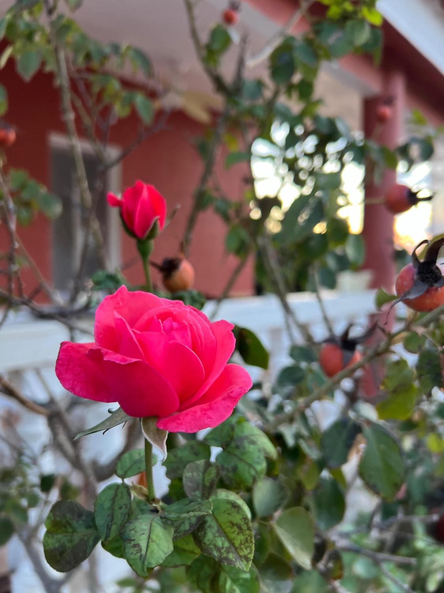 Finca El Escondite Olocau Εξωτερικό φωτογραφία